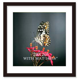 VITOIVE 20x20 black wood frame for wall display with Plexiglas.
