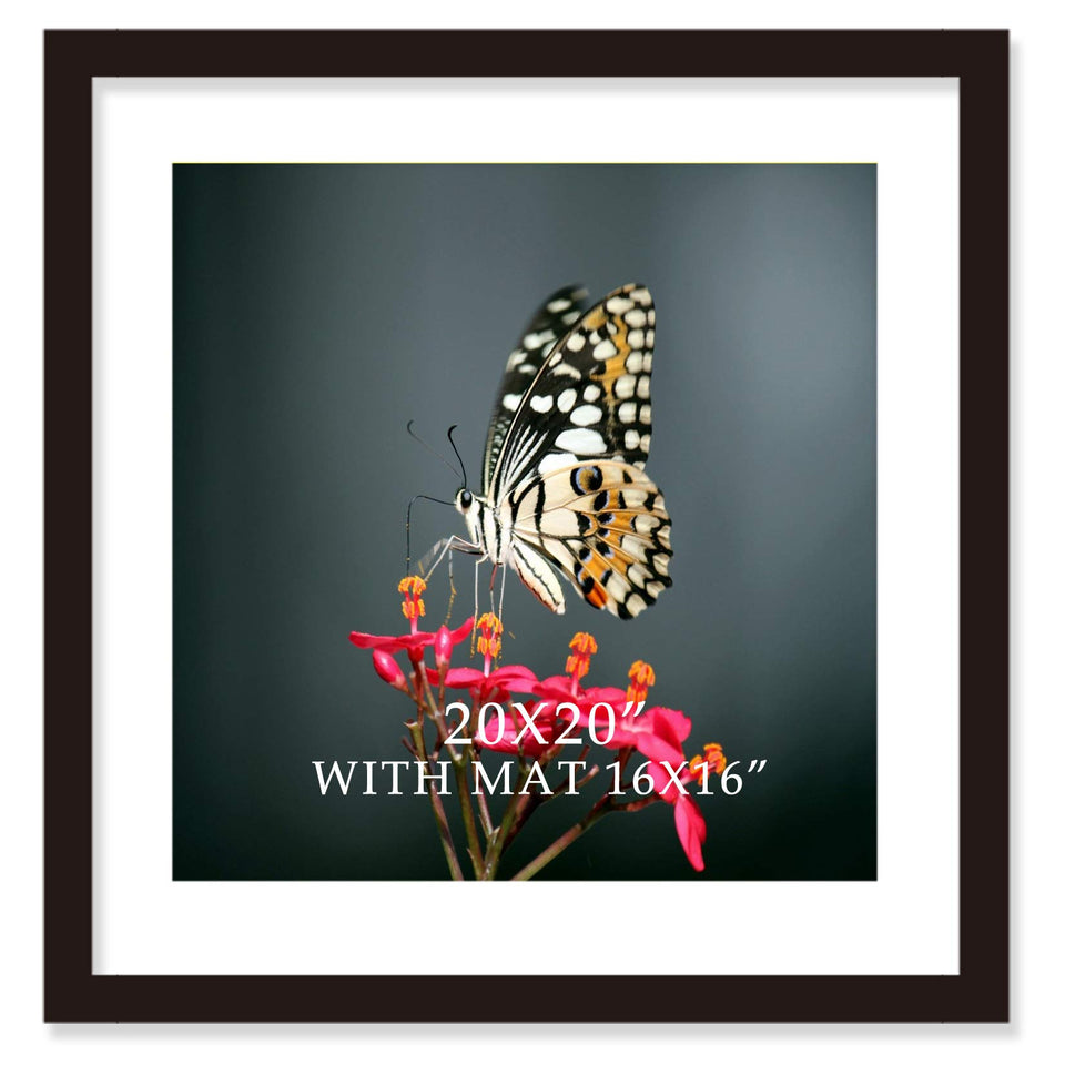VITOIVE 20x20 black wood frame for wall display with Plexiglas.