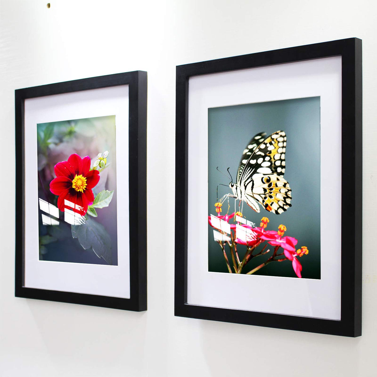 VITOIVE solid pine wood frame with Plexiglas cover for safe viewing.