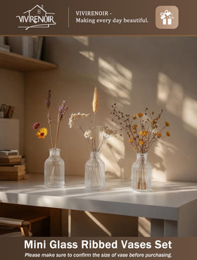 VIVIRENOIR glass bud vase set with weighted base stays upright.