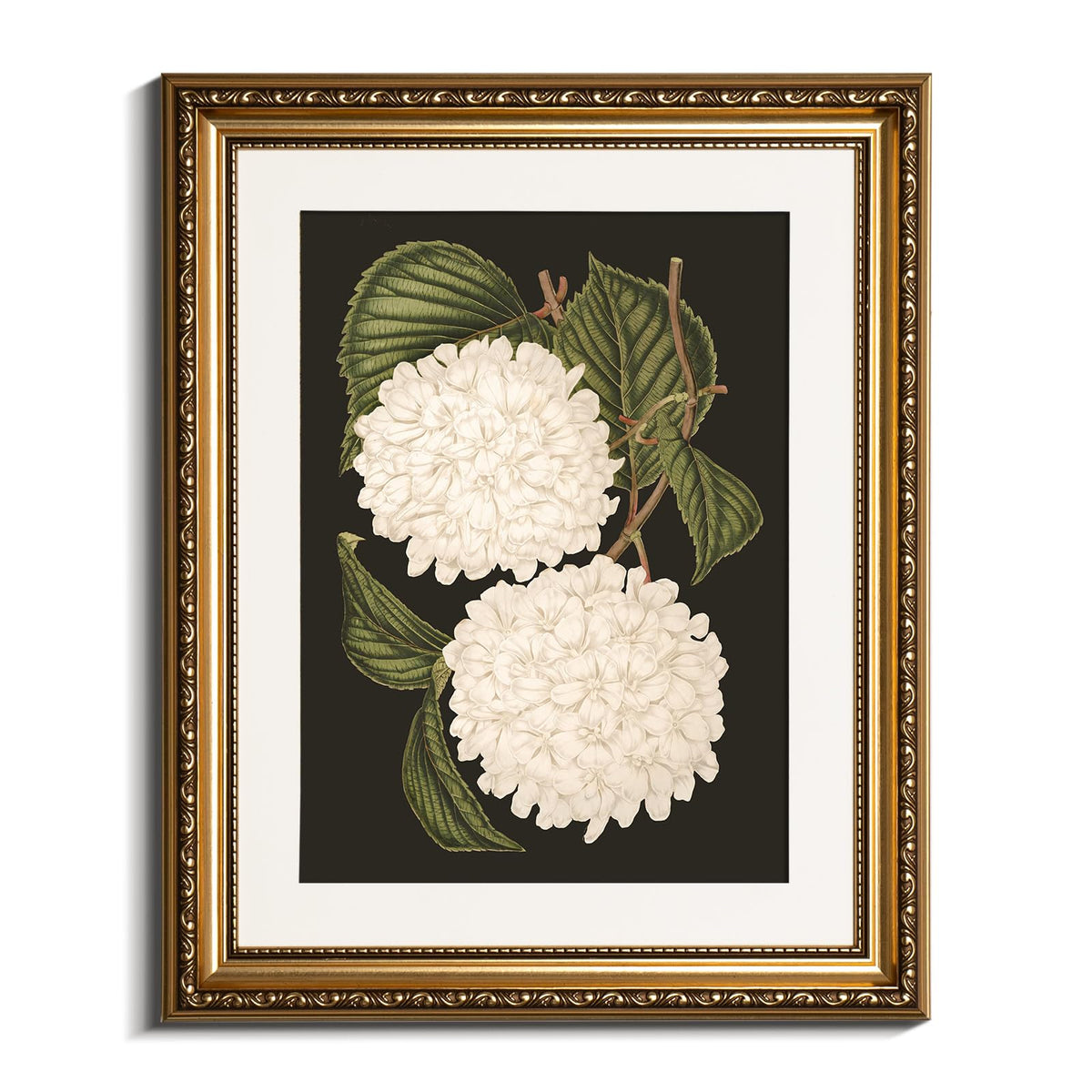VIYYIEA gold framed hydrangea canvas print adds timeless elegance to living rooms.