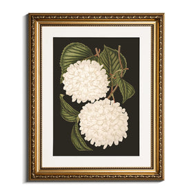 VIYYIEA gold framed hydrangea canvas print adds timeless elegance to living rooms.