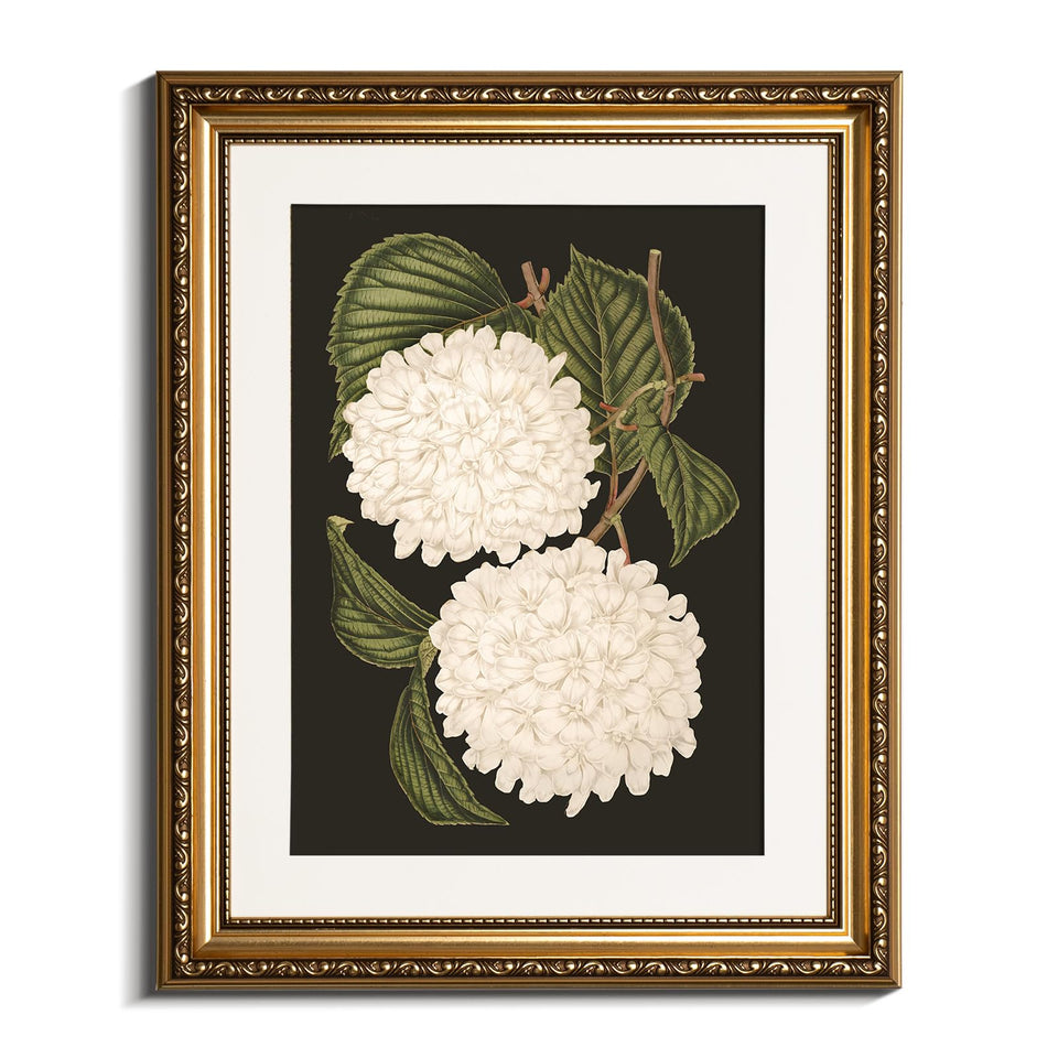VIYYIEA gold framed hydrangea canvas print adds timeless elegance to living rooms.