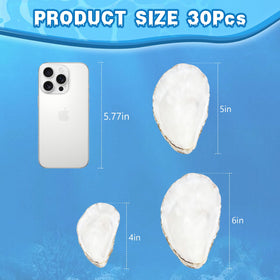 VMEECARL handpicked seashells provide size variety for diverse creative projects.