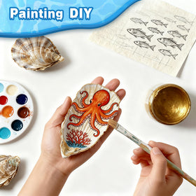VMEECARL natural oyster shells showcase authentic ocean beauty for crafts.