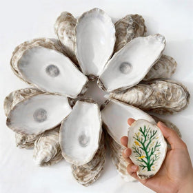 VMEECARL oyster shells 4-5 inches ideal for DIY crafts and coastal decor.