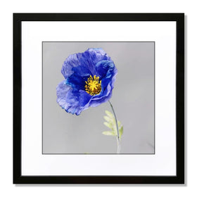 VNVNK 15x15 black frame front view ready to display cherished photos.