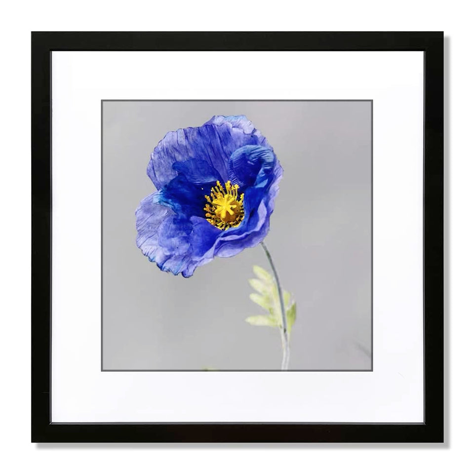 VNVNK 15x15 black frame front view ready to display cherished photos.