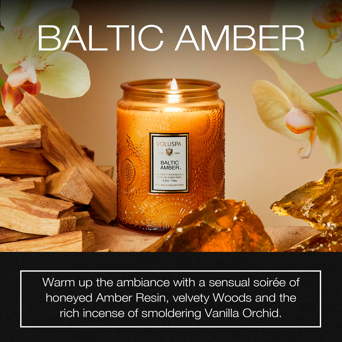 Voluspa Baltic Amber highlights amber resin and sandalwood notes for calming spaces.
