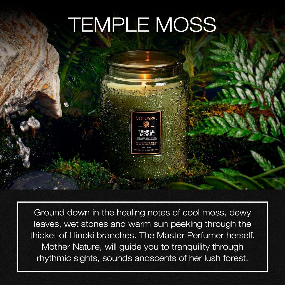 Voluspa Temple Moss 18oz jar highlights coconut wax blend for cleaner, longer burn.