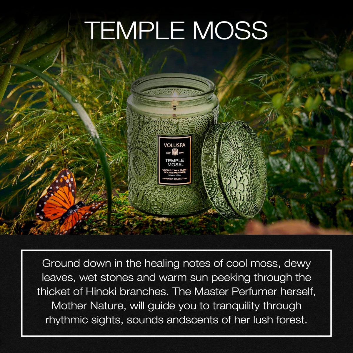 Voluspa Temple Moss label detail highlighting elegant design and premium craftsmanship.