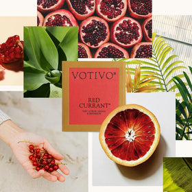 Fragrance notes visualization: earthy greens and cassis for a bright, fruity aroma.