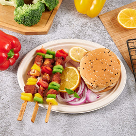 Vplus bagasse sugarcane fiber plate showing natural texture and sustainability