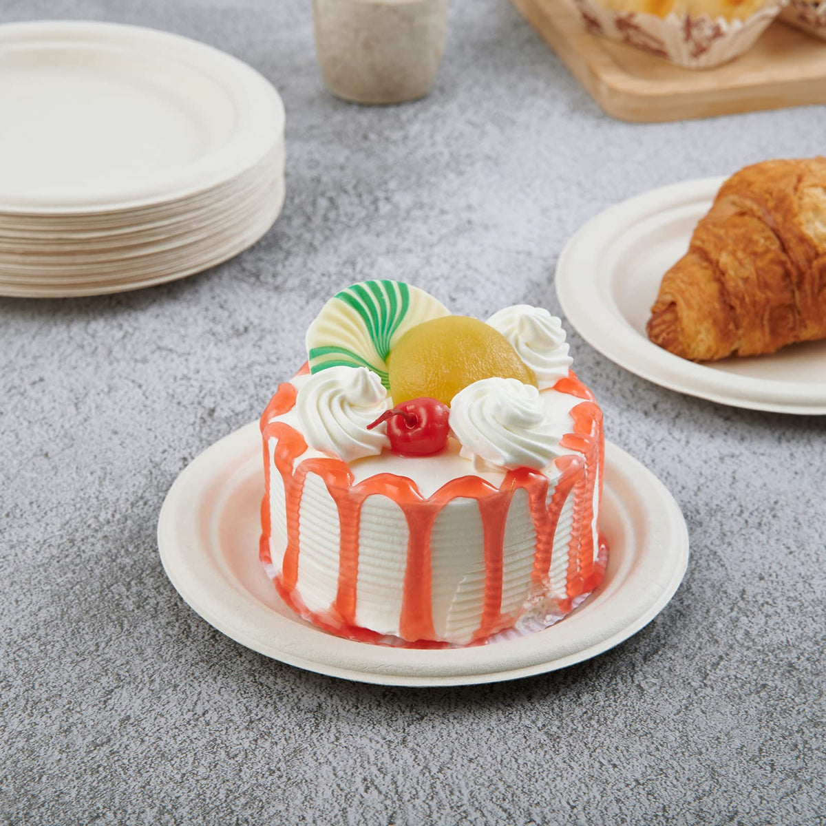 Vplus bagasse sugarcane fiber plates highlighting compostable design for easy disposal