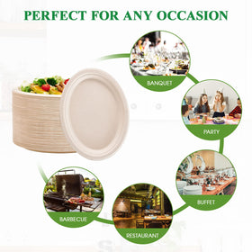 Vplus eco-friendly compostable dining plates in natural color