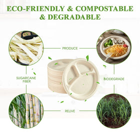 Vplus freezer-safe plate preserves leftovers without soggy textures.