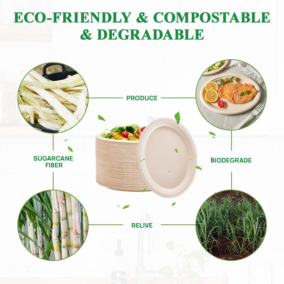 Vplus heavy-duty disposable plate without plastic lining for sturdy serving