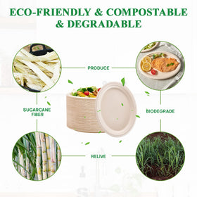 Vplus heavy-duty disposable plate without plastic lining for sturdy serving