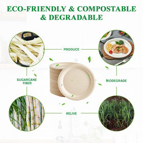 Vplus microwave-safe plates ready for quick reheats and convenient serving
