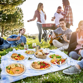 Vplus outdoor party and picnic plates ready for easy, mess-free serving