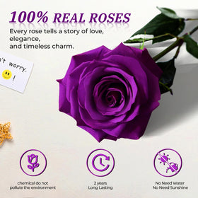 Vryblos protective film design box keeps petals safe during delivery.