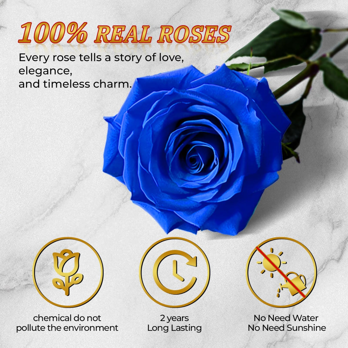 Vryblos Forever Blue Roses greeting card included with the heart box