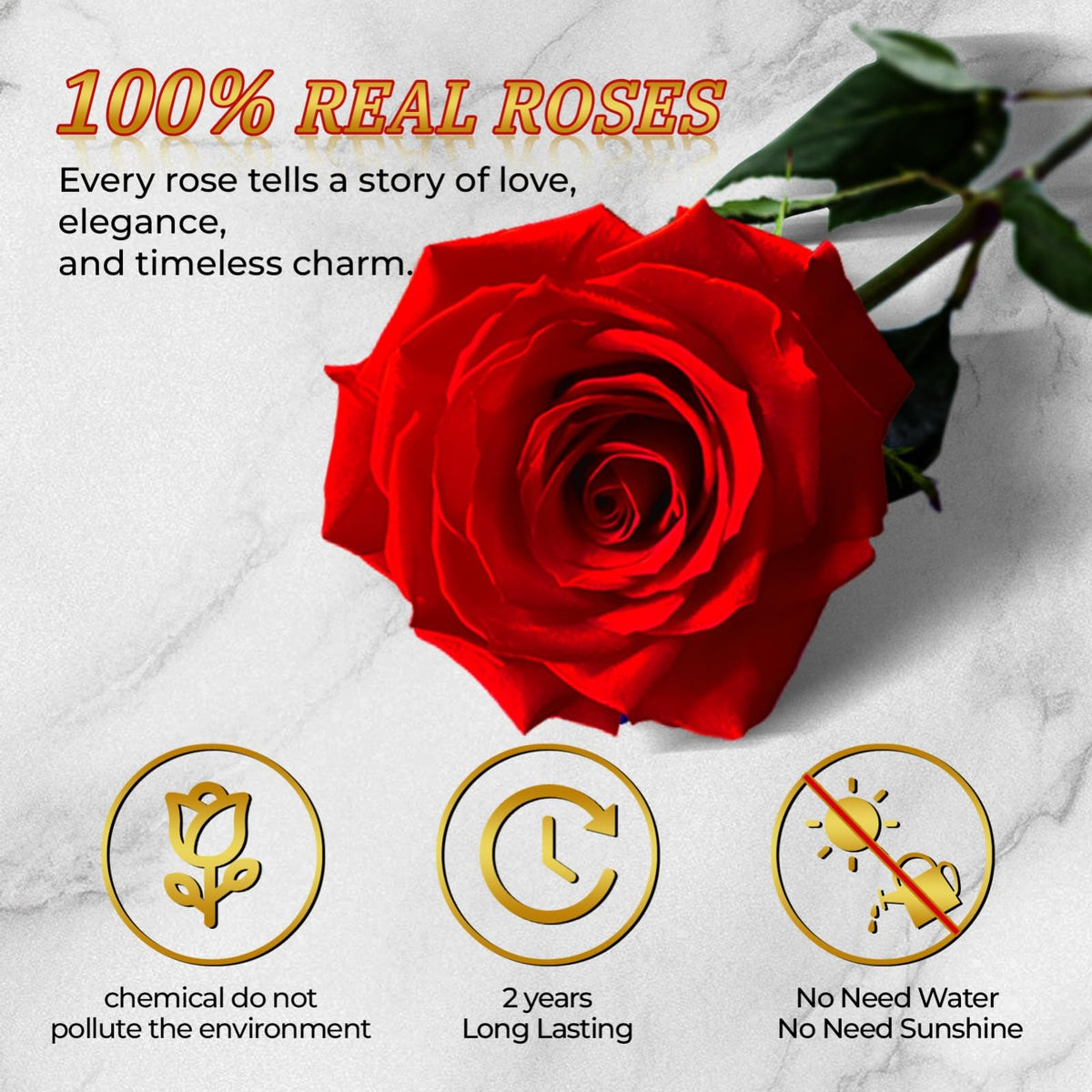 Vryblos rose texture close-up, rich red petals with lasting charm.