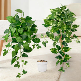 VUAHAUL artificial pothos hanging plants with 60 cm cascading leaves for vibrant home decor.