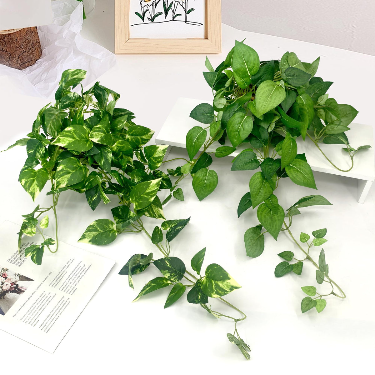 VUAHAUL hanging plants display ideas for home and office decor.