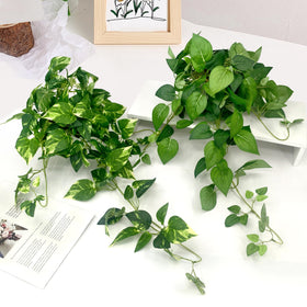 VUAHAUL hanging plants display ideas for home and office decor.