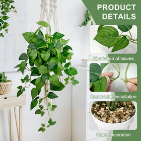 VUAHAUL hanging plants in white pots with a stone-filled base for stable display.