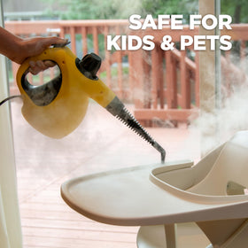 Chemical-free steam clean with Wagner 505e for safe home use