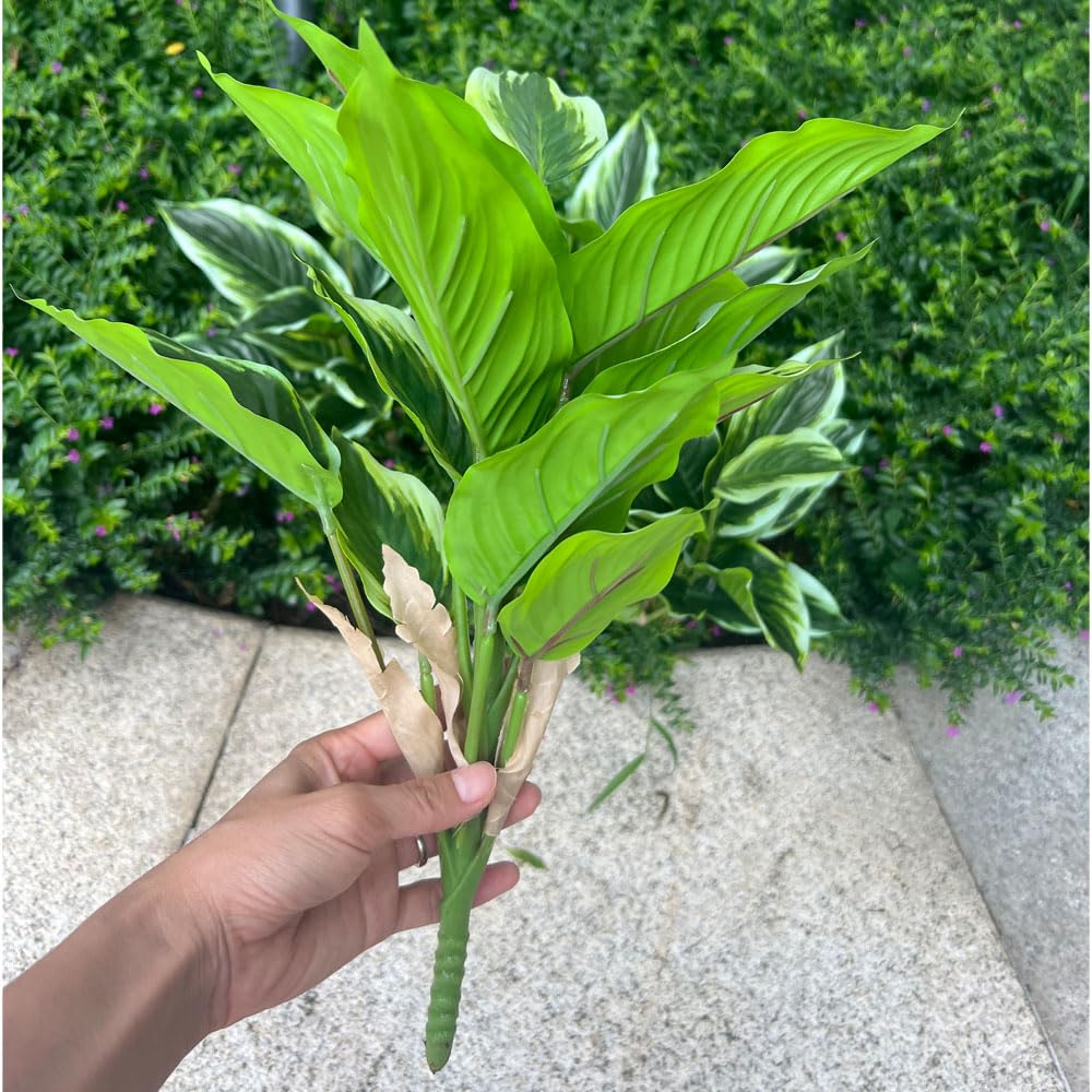 WAIFOMEI hanging basket display with hosta adding porch charm.