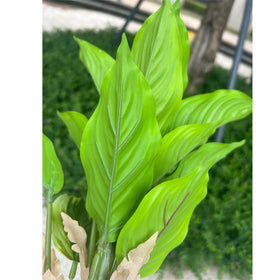 WAIFOMEI maintenance-free design reduces upkeep while keeping greenery vivid.