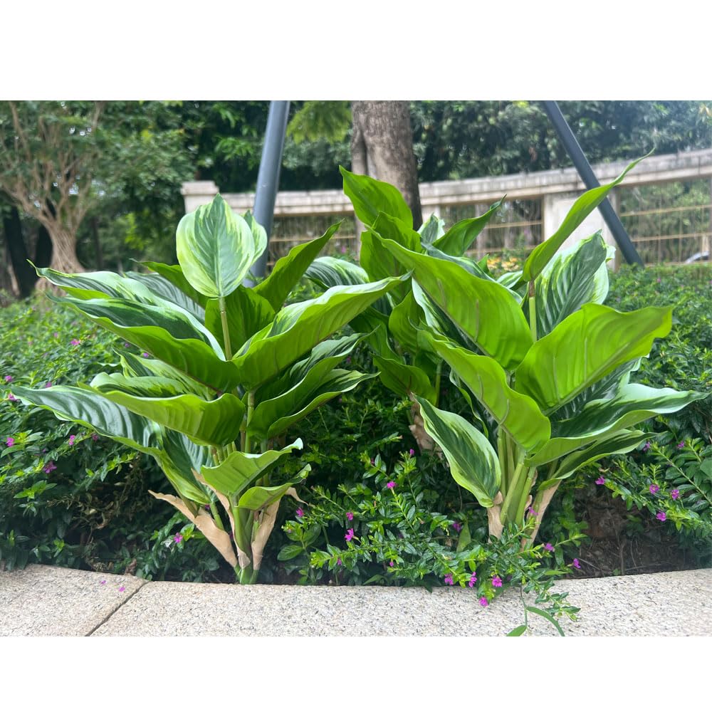 WAIFOMEI outdoor UV-resistant hosta display designed for sun exposure.