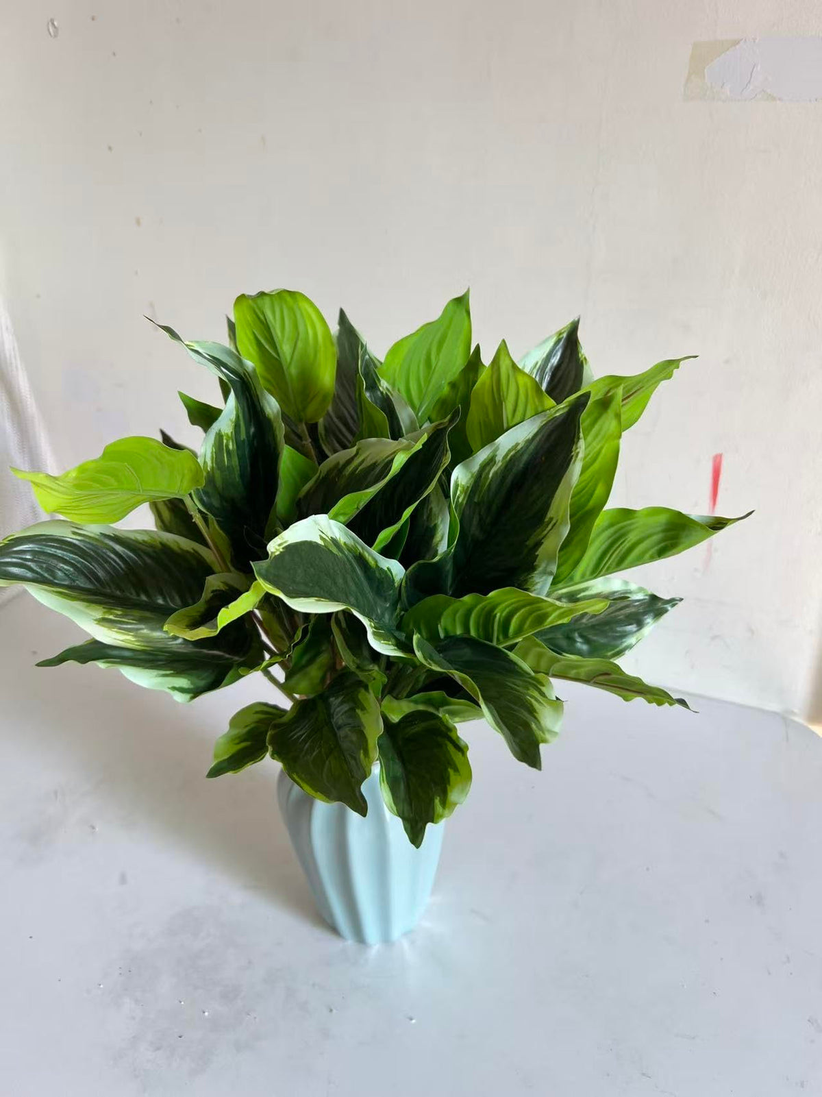 WAIFOMEI tropical plant-inspired decor suitable for summer patios.