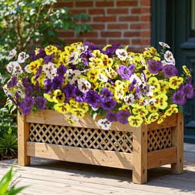 Waipfaru 36bundle pansies color purple yellow white versatile decor for indoor outdoor spaces