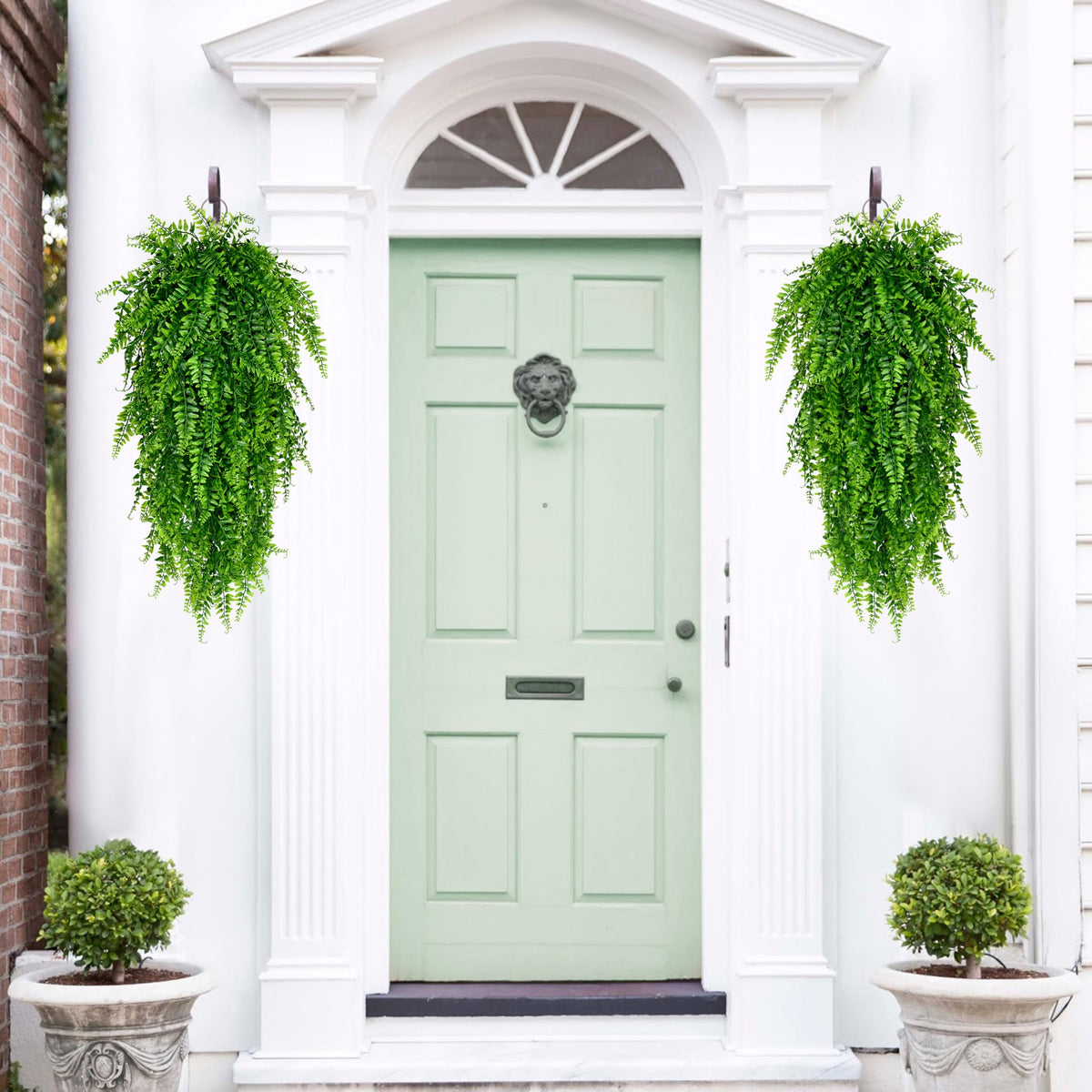 Waipfaru 8-pack hanging ferns provide a fuller, lush look when grouped