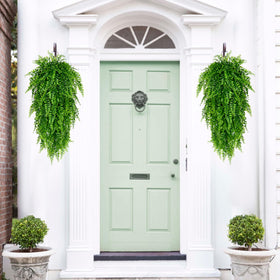 Waipfaru 8-pack hanging ferns provide a fuller, lush look when grouped
