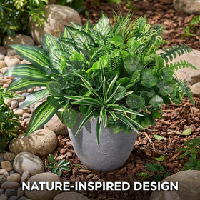 Waipfaru orchid detail enhancing elegant indoor entryway decor