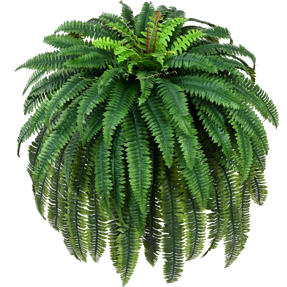 Waipfaru Boston fern 60-inch front porch adds year-round greenery.