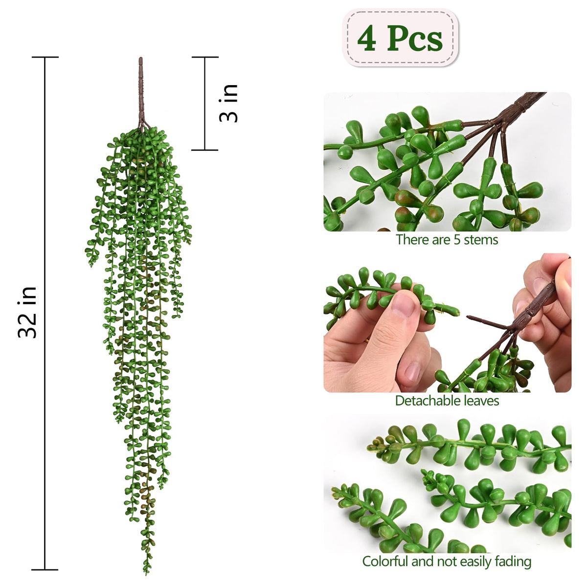Waipfaru easy-care ivy for shelves, porches, and windows.