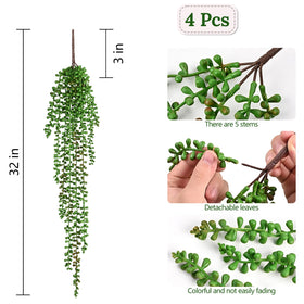 Waipfaru easy-care ivy for shelves, porches, and windows.