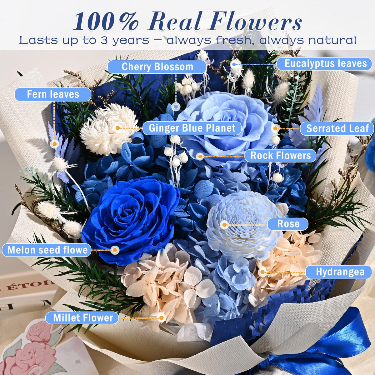 Waipfaru everlasting blue flowers provide a timeless accent for any room.