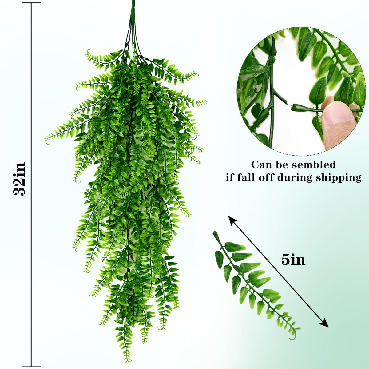 Waipfaru hanging fern ideal for weddings, delivering vibrant greenery without maintenance