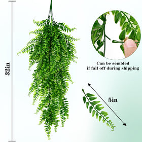 Waipfaru hanging fern ideal for weddings, delivering vibrant greenery without maintenance