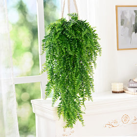 Waipfaru hanging fern window decor brings greenery without upkeep