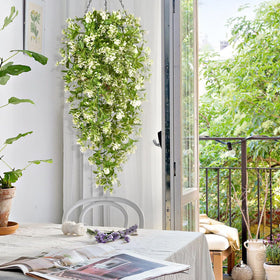 Waipfaru ivy-pothos vines suitable for outdoor or indoor ambiance