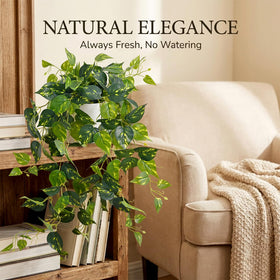 Waipfaru hanging pothos 86 cm adds vertical greenery