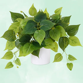 Waipfaru fake plant suitable for living room, kitchen, bathroom, or office.